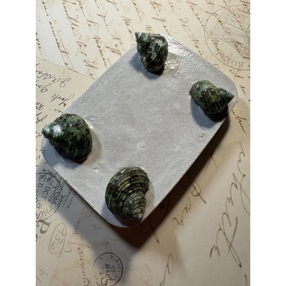Handmade Soap Dish Cement Soap Holder Bathroom Kitchen Green Snail Shells